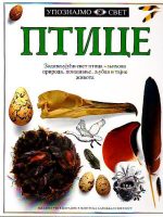 Ptice (ćirilica)