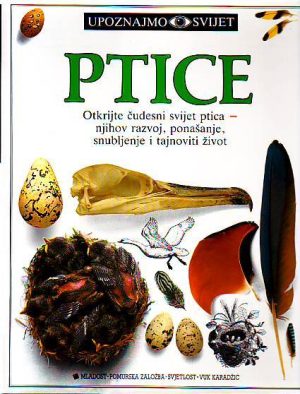 Ptice (latinica)