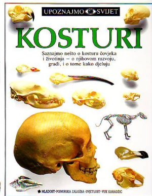 Kosturi (latinica)