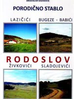 Dragoljub Savanović - Rodoslov: Lazičići, Babići, Živkovići, Sladojevići