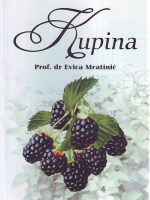 Evica Mratinić - Kupina