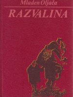 Mladen Oljača - Razvalina