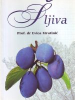 Evica Mratinić - Šljiva