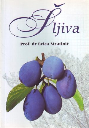 Evica Mratinić - Šljiva