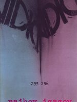 Časopis Vidici 255-256: Rajhov izazov