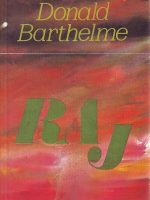 Donald Barthelme - Raj