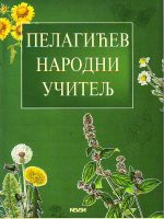 Vasa Pelagić - Pelagićev narodni učitelj