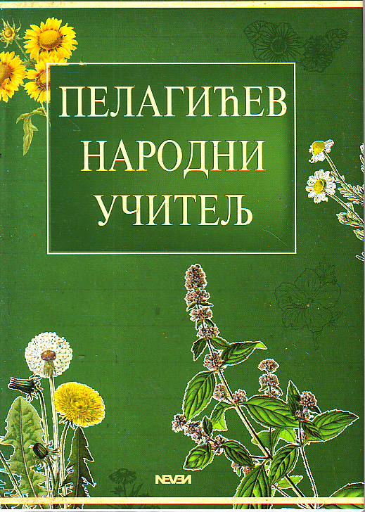 Vasa Pelagić - Pelagićev narodni učitelj