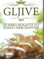 Hajrudin Rudi Hasanbegović - Gljive
