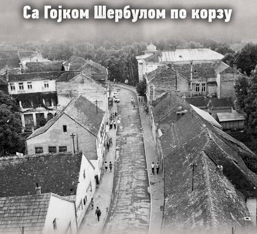 Bojan Vujčić - Sa Gojkom Šerbulom po gradu